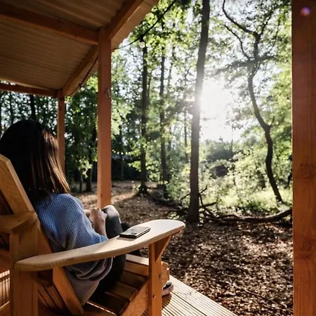 Forest Cabin In The Woods Holten Exterior photo