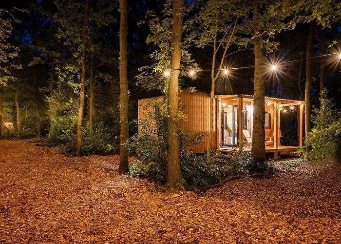 Forest Cabin In The Woods