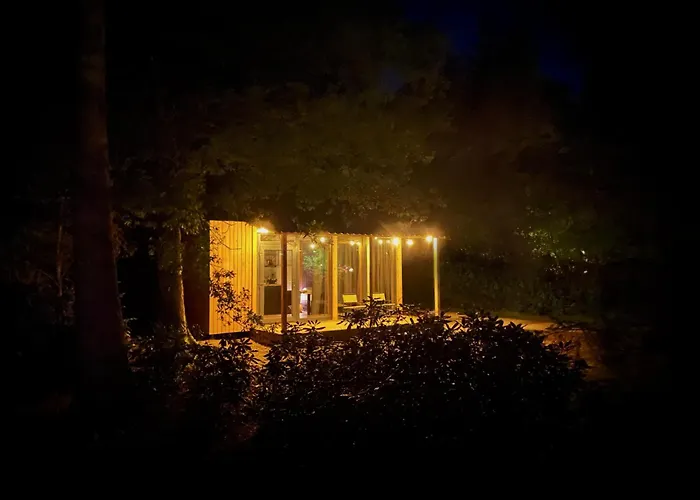 Forest Cabin In The Woods