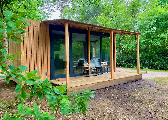 Forest Cabin In The Woods