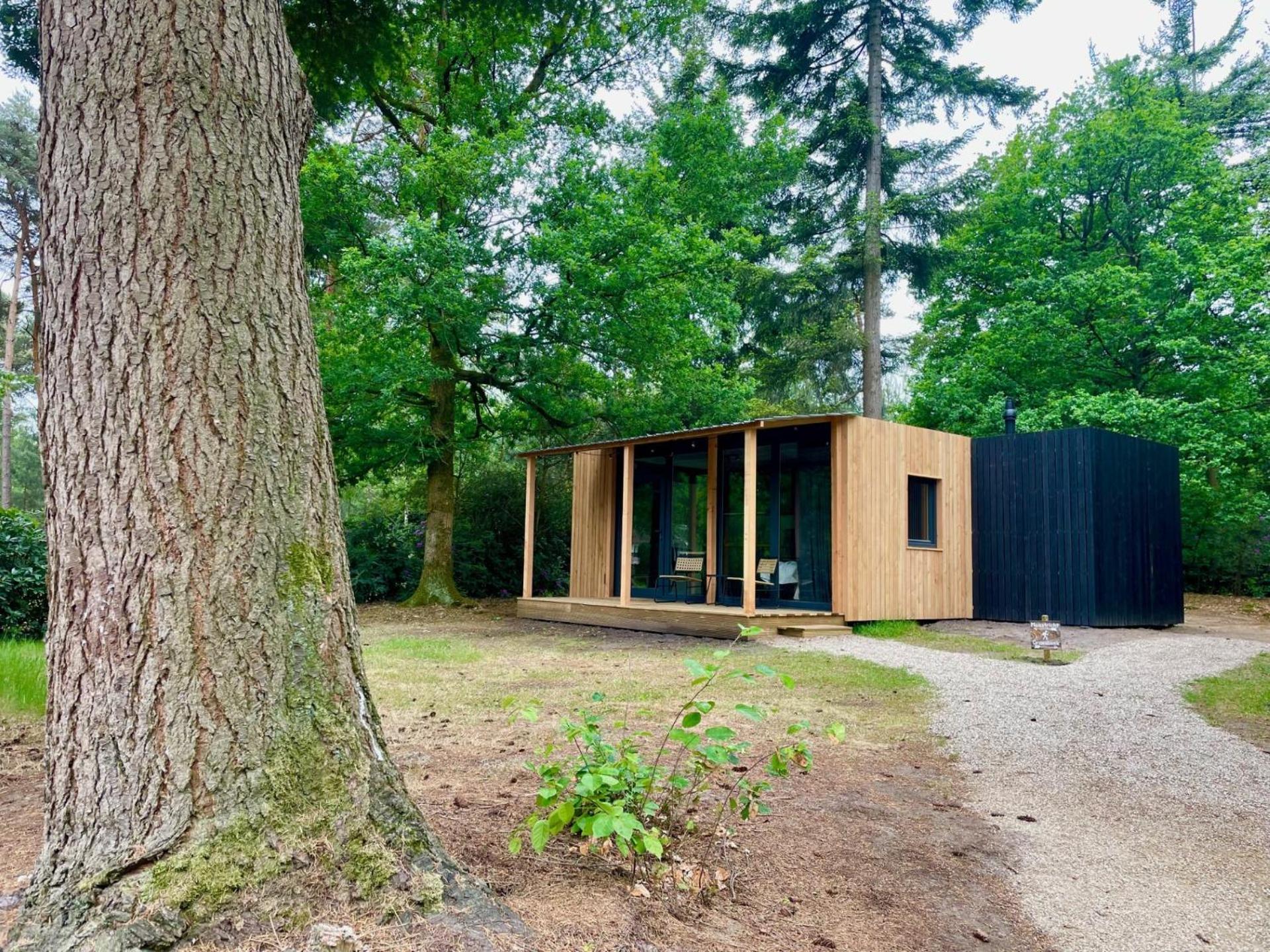 Forest In The Woods * Holten