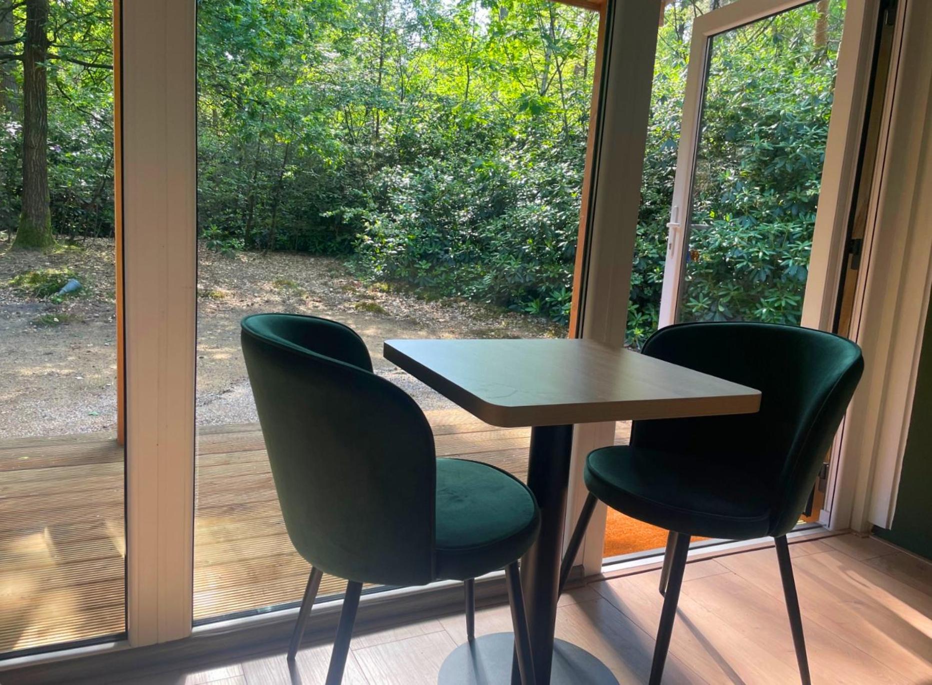 Forest In The Woods Lodge
