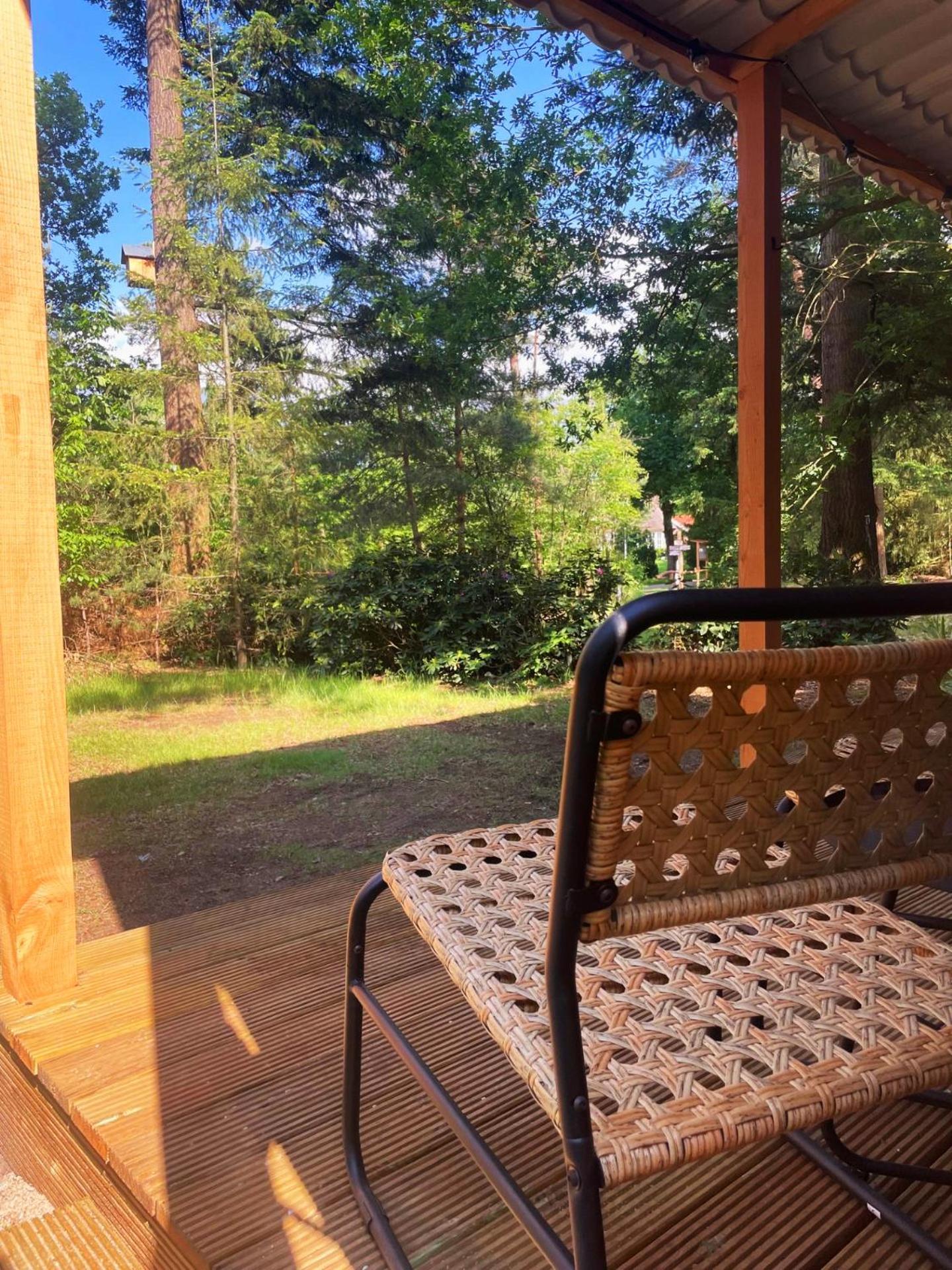 Lodge Forest In The Woods *