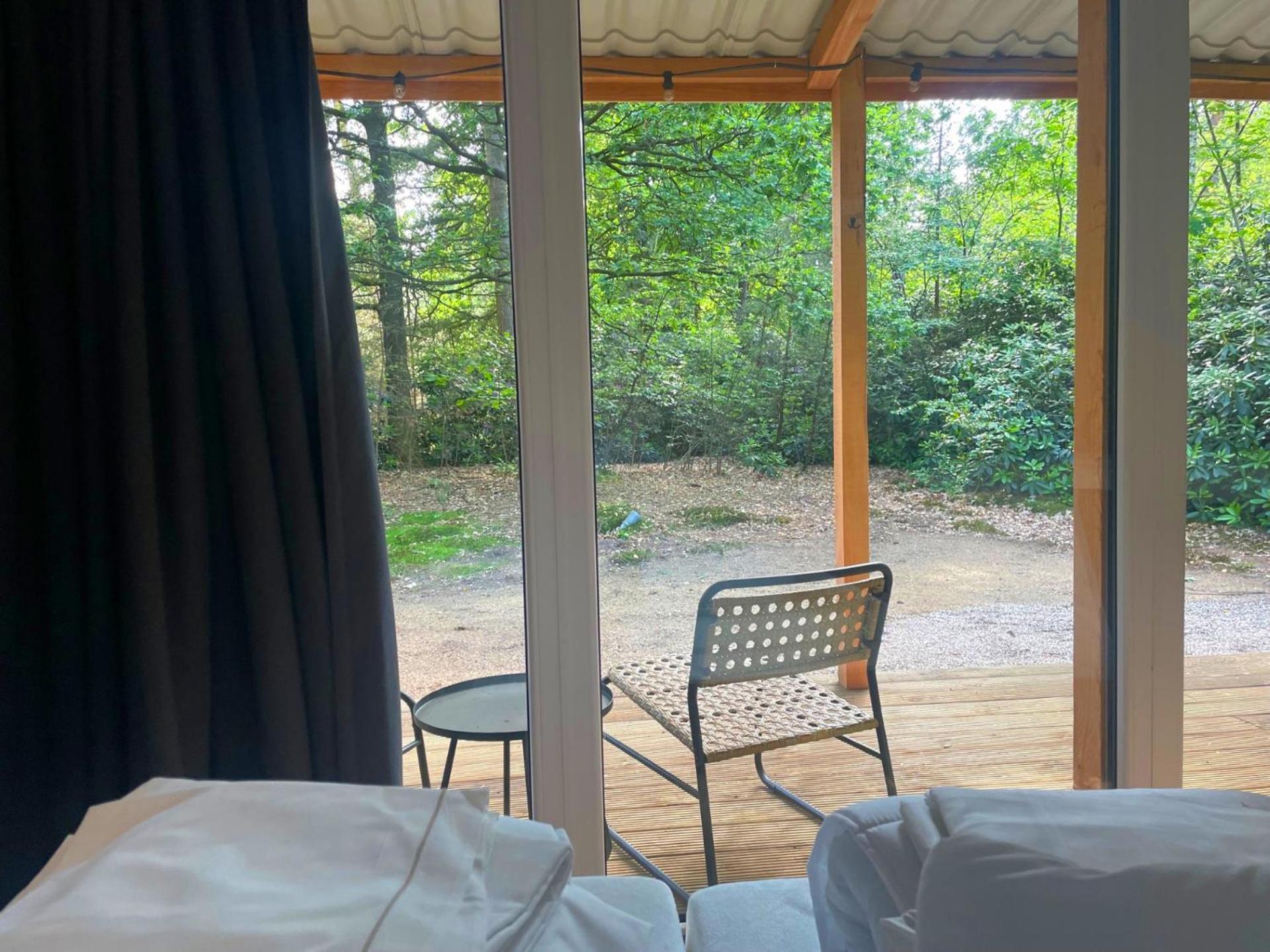 Forest In The Woods Lodge